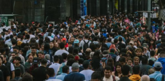 Construir la circulación pública del conocimiento: desafíos para conectar ciencia y territorio