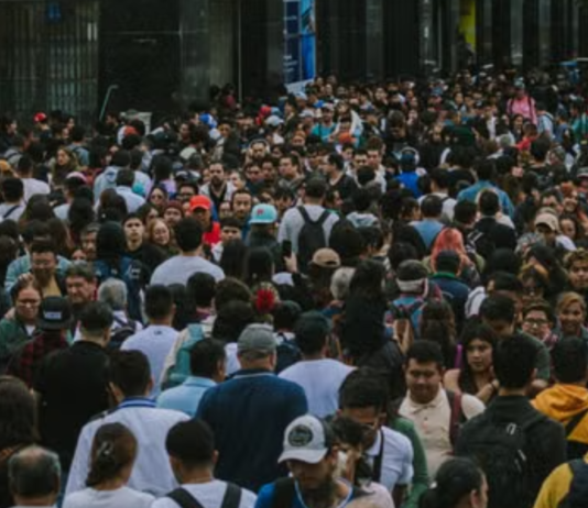 Construir la circulación pública del conocimiento: desafíos para conectar ciencia y territorio