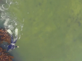 Microdocumental de estudiantes UCSC aborda el cambio climático desde la mirada de la pesca artesanal