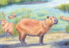 Un capibara de hace casi 9 millones de años revela que el desierto de Atacama fue mucho más húmedo
