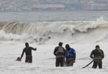 Entrevista Jaime Aburto, académico UCN: Un banco histórico bajo presión: fuertes lluvias y la extracción ilegal amenazan a las machas de Coquimbo