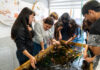 Estudiantes de primer año de Biología Marina UCSC visitan la Estación Costera de Lenga