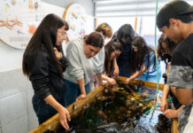 Estudiantes de primer año de Biología Marina UCSC visitan la Estación Costera de Lenga