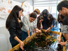 Estudiantes de primer año de Biología Marina UCSC visitan la Estación Costera de Lenga