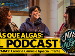 Más que Algas estrena podcast para acercar la ciencia de las macroalgas