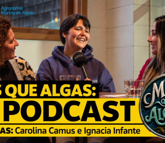 Más que Algas estrena podcast para acercar la ciencia de las macroalgas